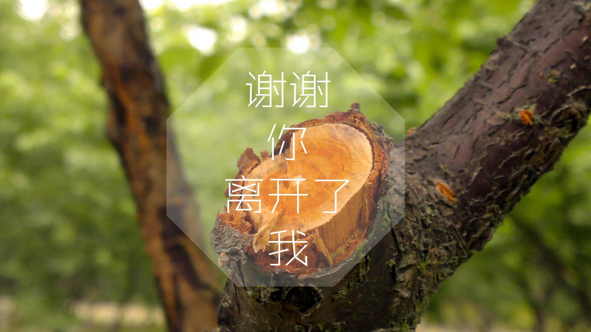 开云·Kaiyun网页版-_未来运动智能设备：穿戴科技开启新纪元_，未来智能运动鞋
