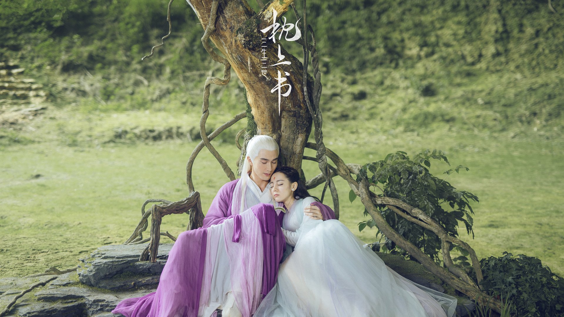 国际合作：多国代表共同打造纯净比赛环境