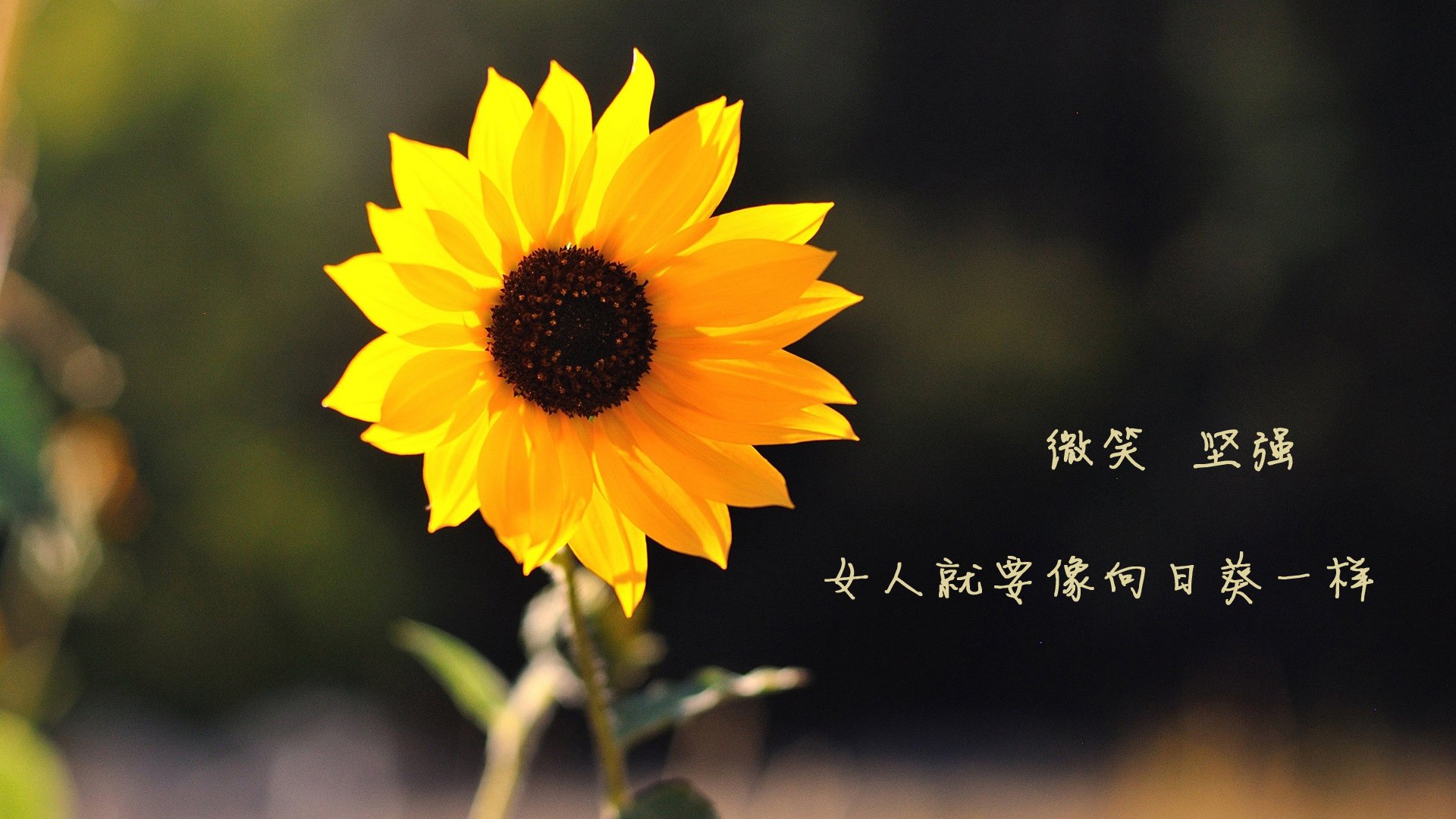 赛事场馆智能安全检测平台正式投入使用，安全保障更有力，竞赛场馆