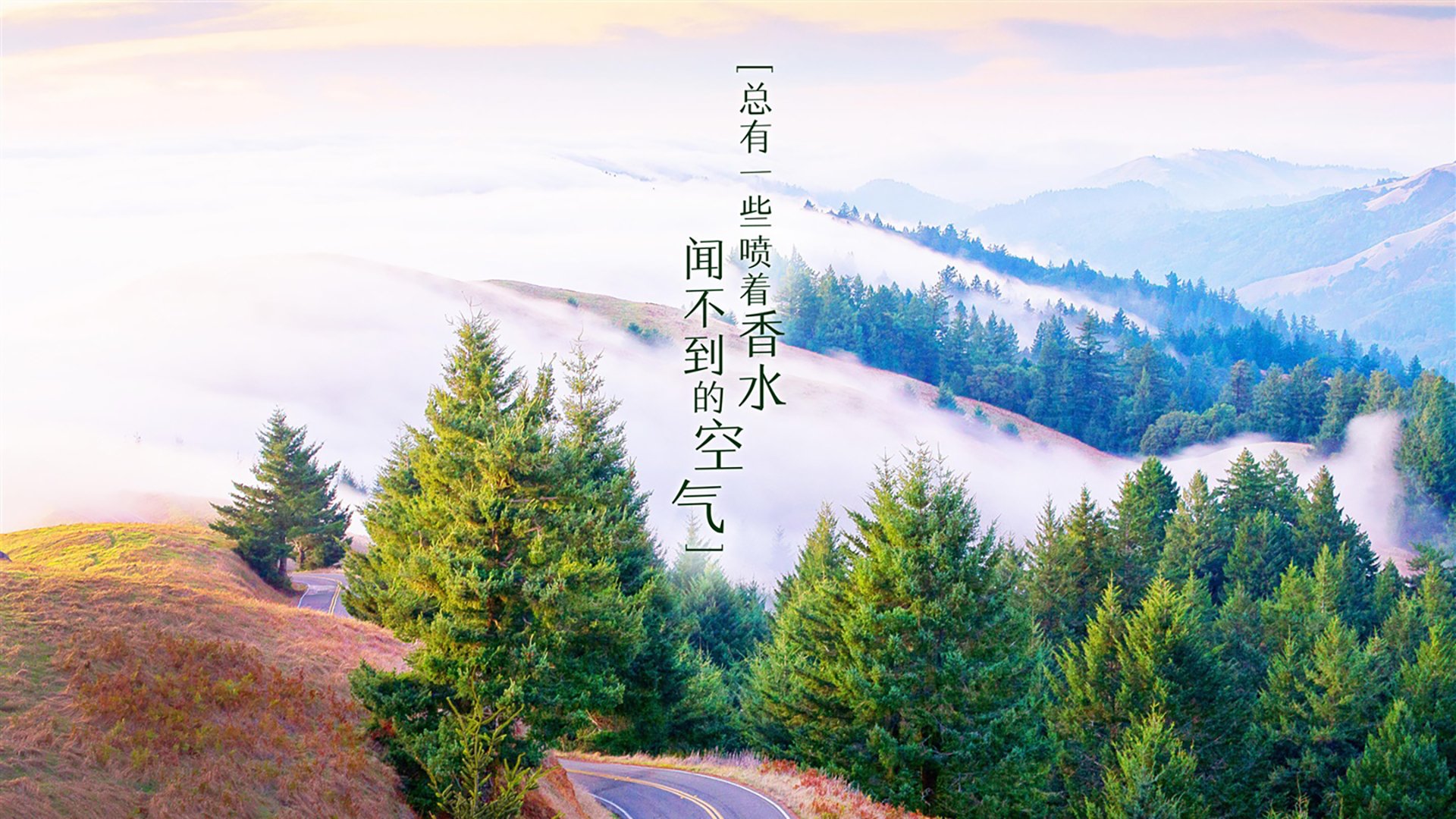 开云kaiyun-主场豪胜马赛，摩纳哥立志登顶联赛，摩纳哥比赛直播