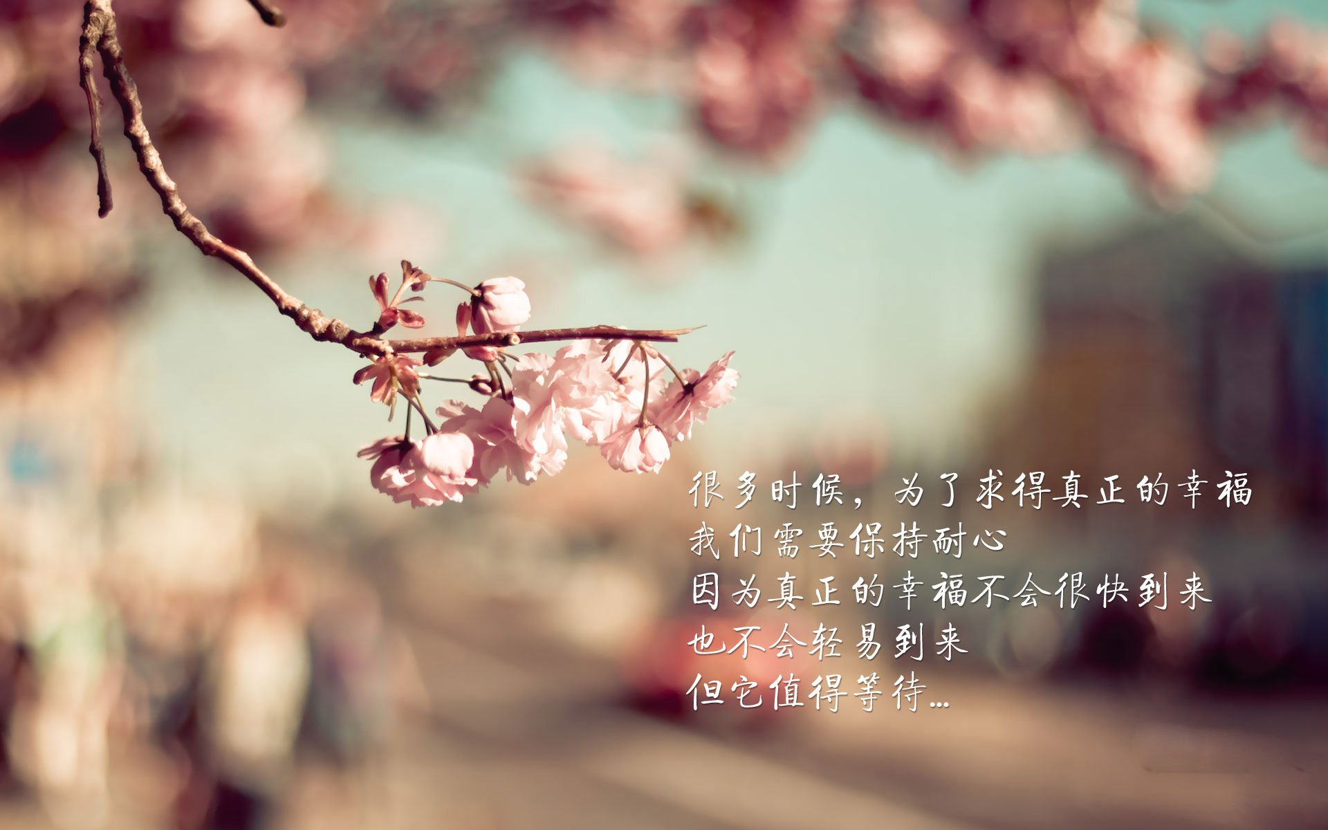 北美赛区如何提升国际表现？，北美赛区队伍