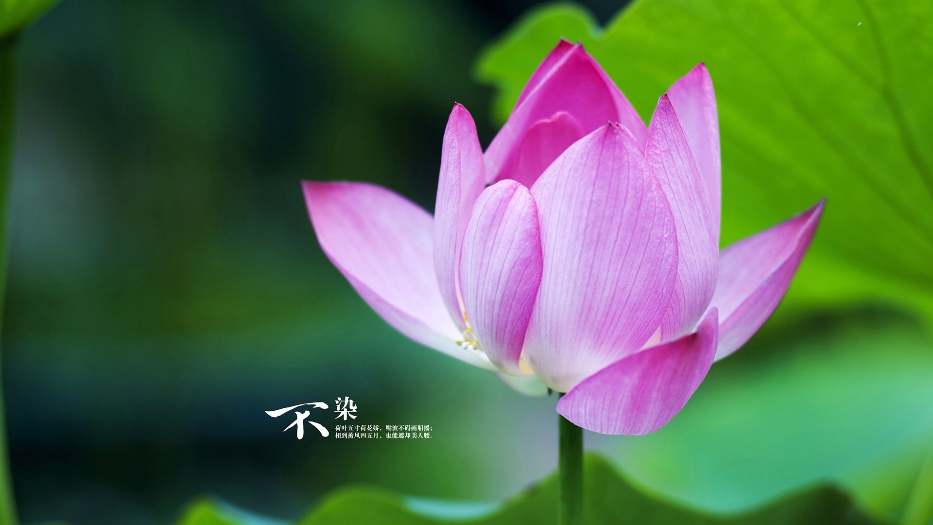 kaiyun开云·官方网站-五大联赛边锋爆发力是否成为豪门胜负分水岭，五大联赛中锋排名