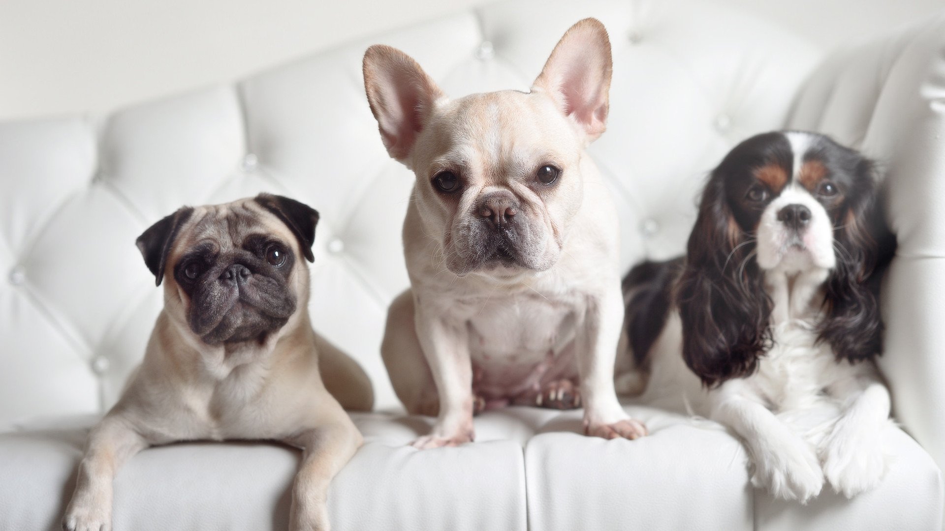 开云官方-五大联赛球队是否在最后十分钟倾向高风险打法，五大联赛最大分差夺冠