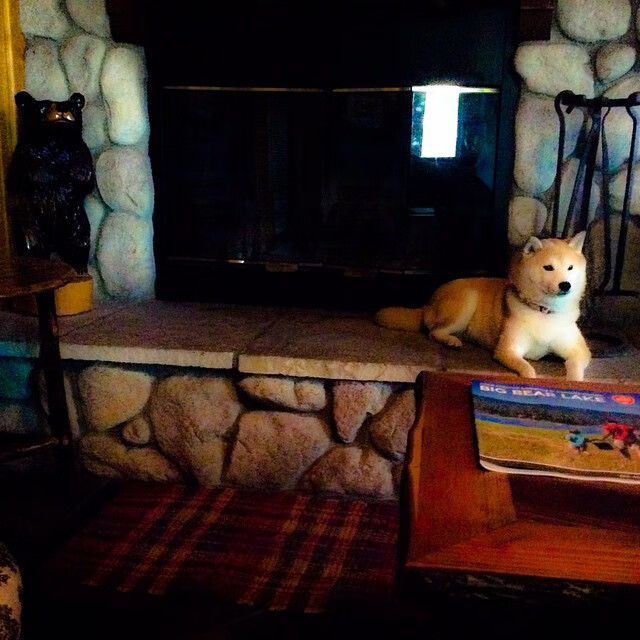 得分分布多点开花是否更难防守，得分点是什么