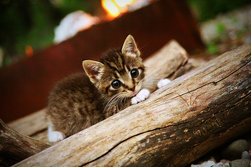 世界杯最燃对决：一触即发的精彩！，世界杯经典瞬间