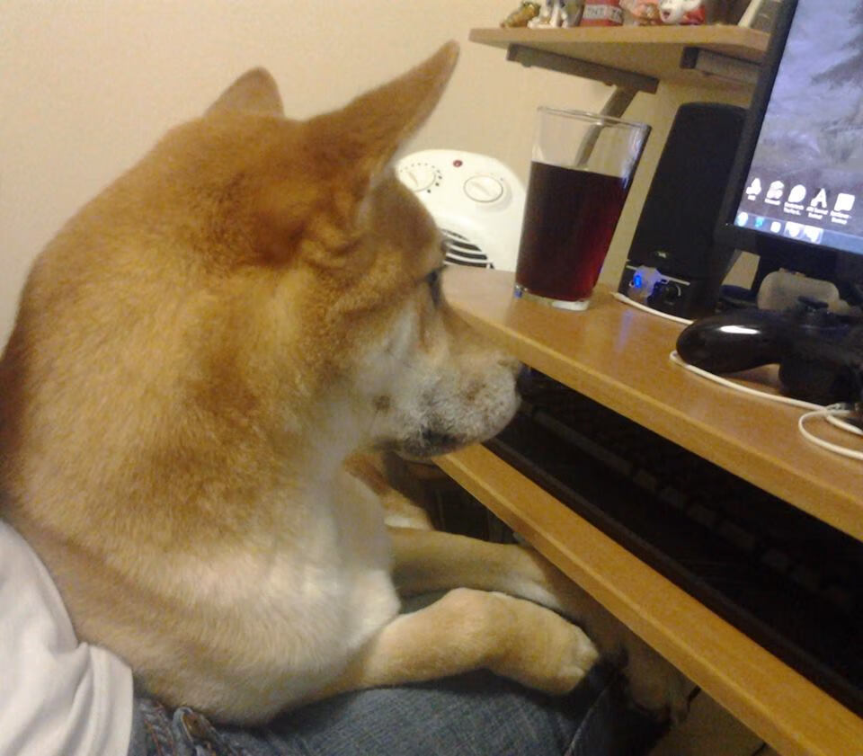 kaiyun登录入口-乌拉圭女篮在南美锦标赛中表现优异，迈向奥运梦想，乌拉圭篮球队