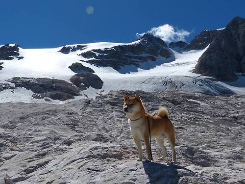 梅西在国家队比赛中展现统治力,带领阿根廷冲击冠军