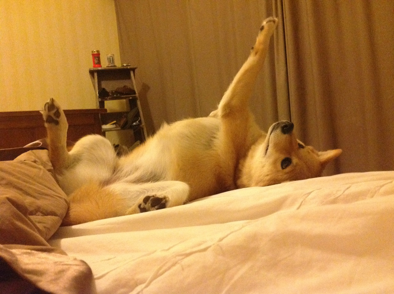 瑞·弗兰：他是全黑队“攻防一体”的代表，每次出场都充满威胁