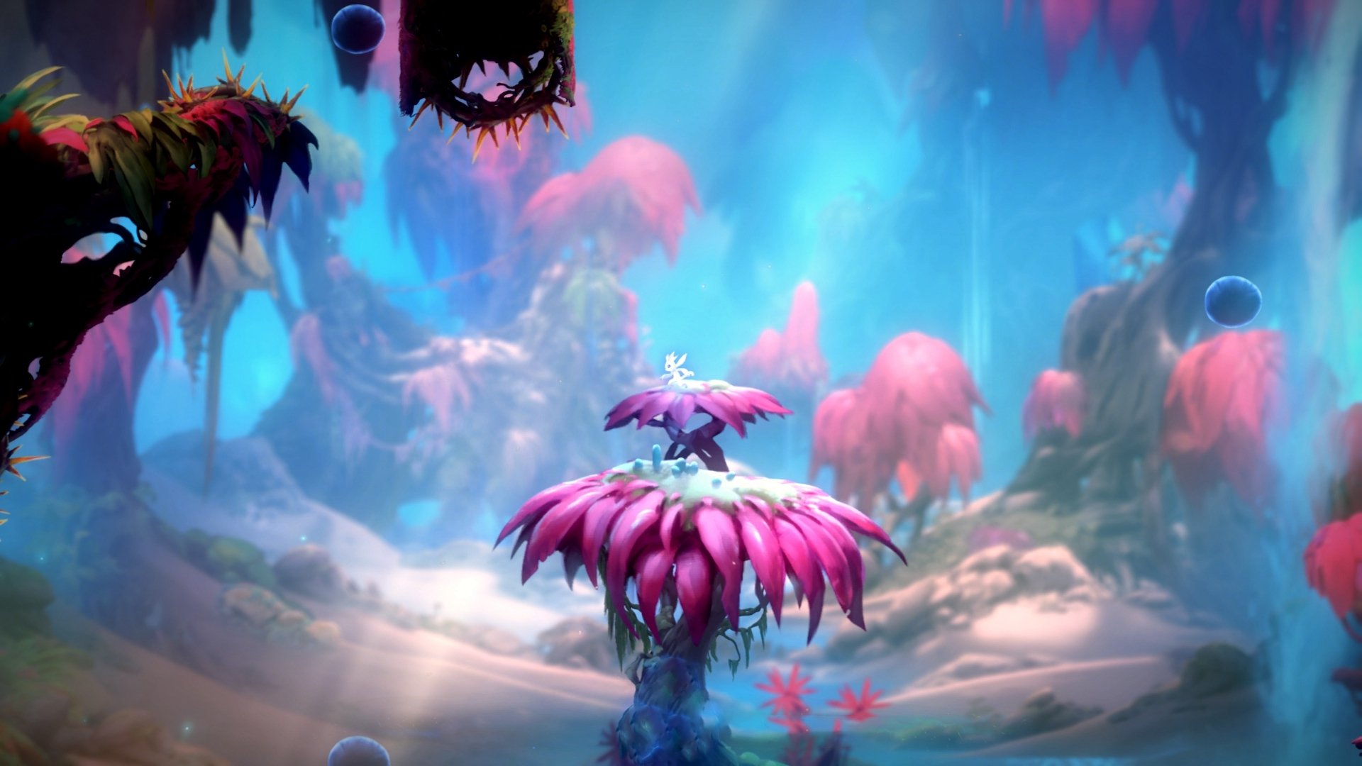 kaiyun中国官方网站-福特：始终以坚强防守和快速反击回报全黑队的信任，custom福特