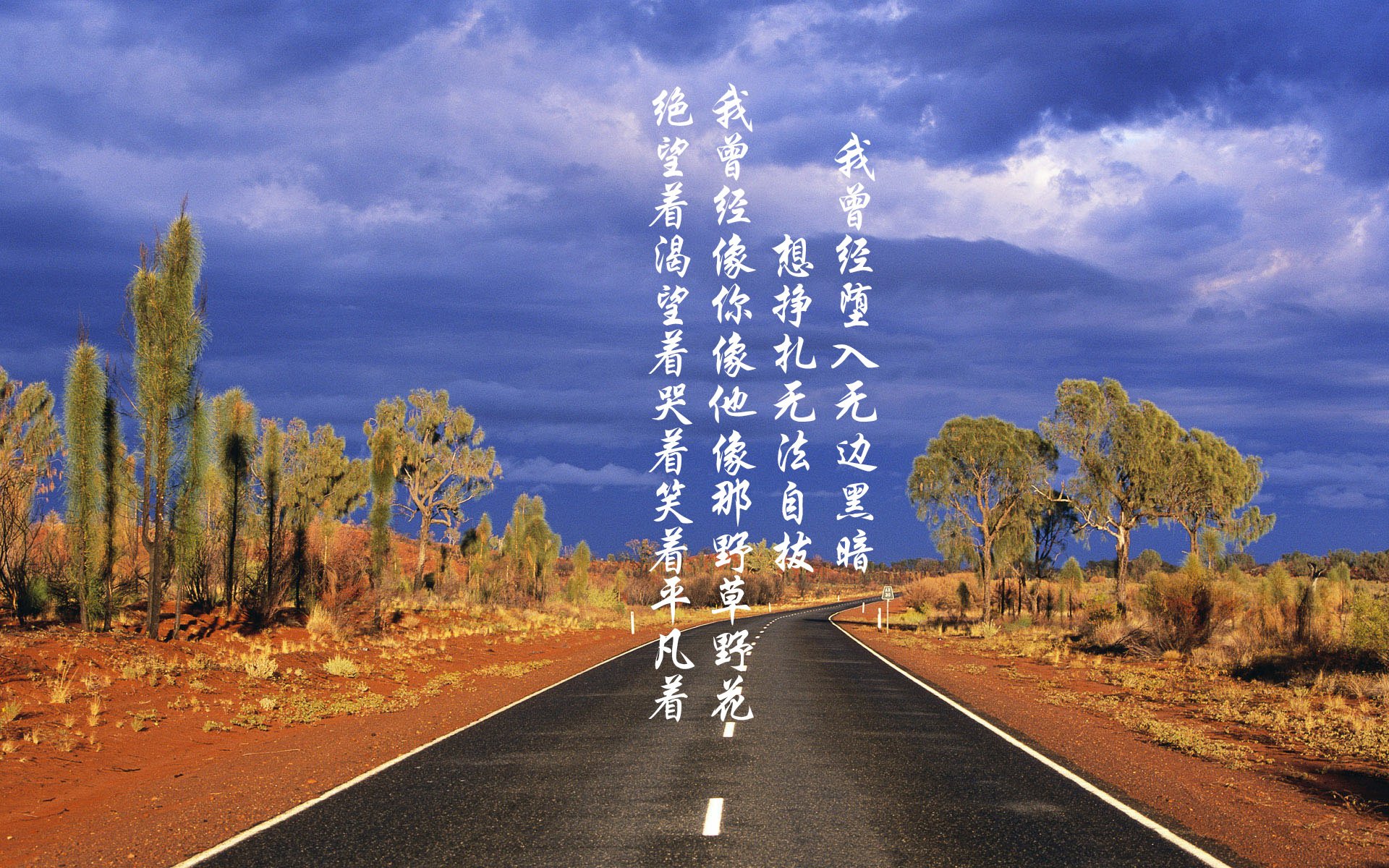 蛙泳赛场吉尔吉斯斯坦刷新个人排名，吉尔吉斯斯坦ufc