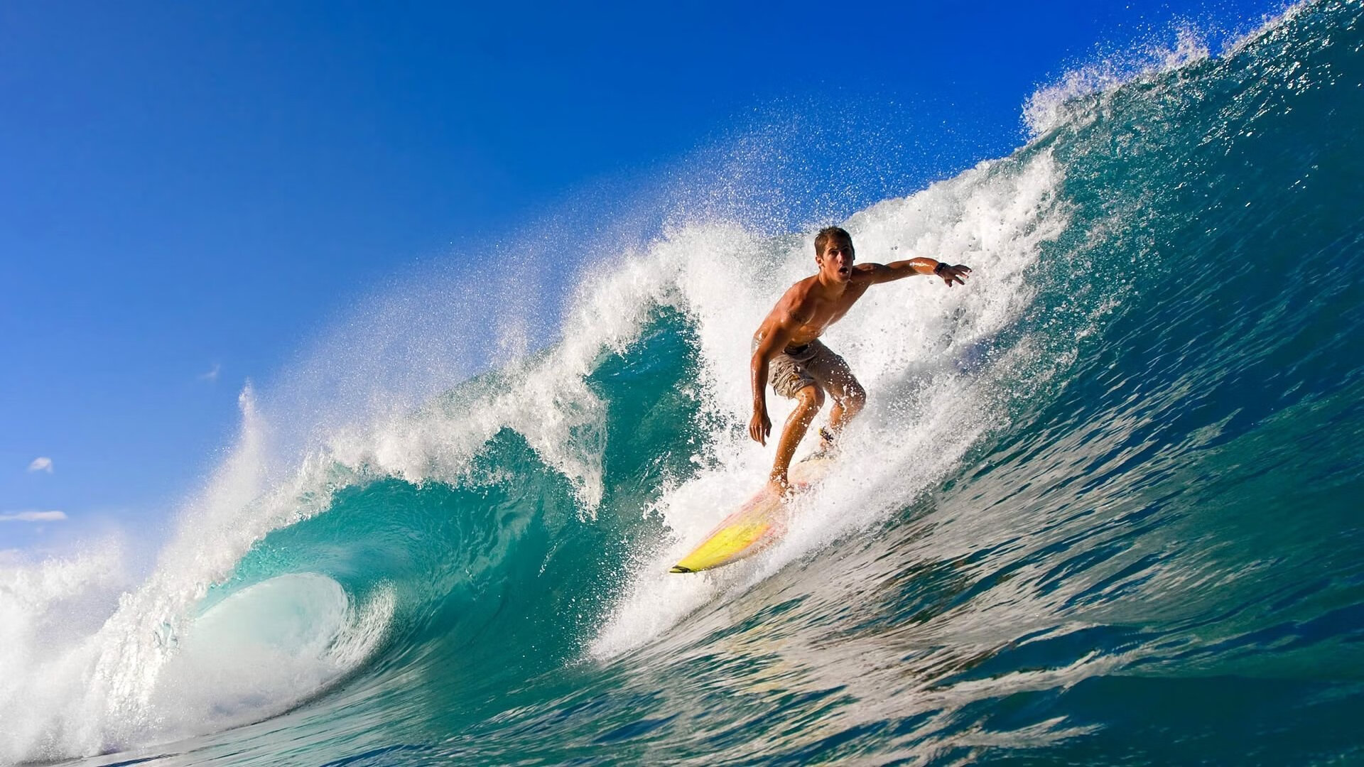 开云体育vip-“东安湖体育公园：铁人三项选手的极限挑战，震撼观众”